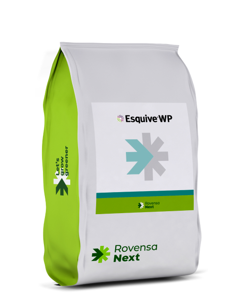 EsquiveWP