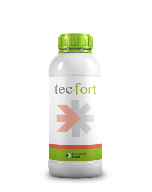 Tecfort