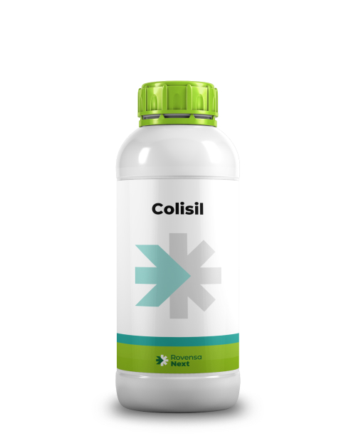 Colisil 1L 2