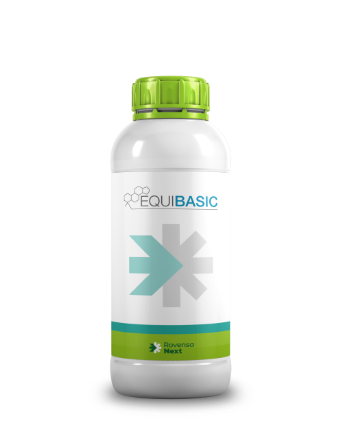 Equibasic 1L 1