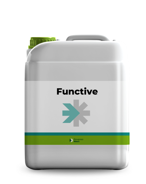 Functive 5L 1