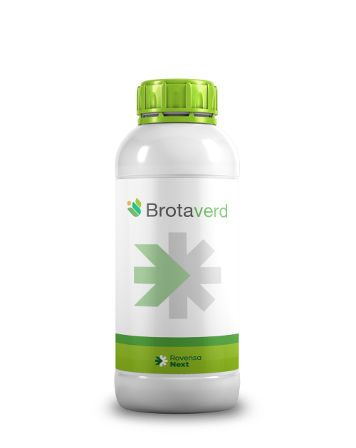 Brotaverd 1L 1