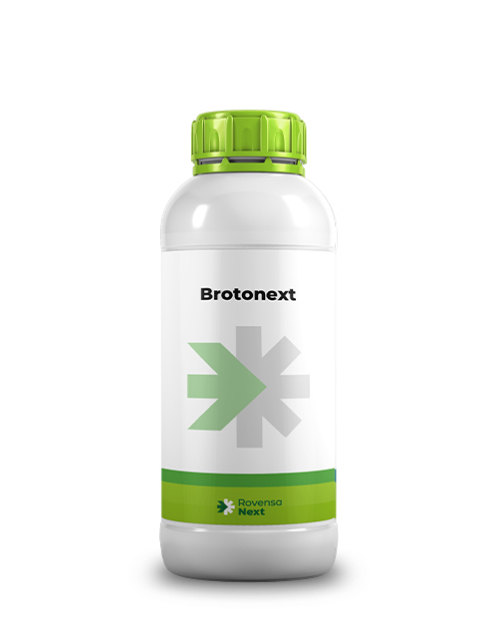 Brotonext 2