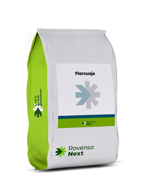 Florcuaje 1